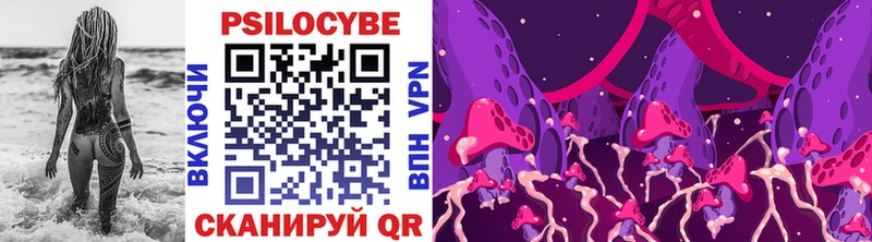 Галлюциногенные грибы Psilocybe  hydra маркетплейс  Сосновоборск  купить наркотик 