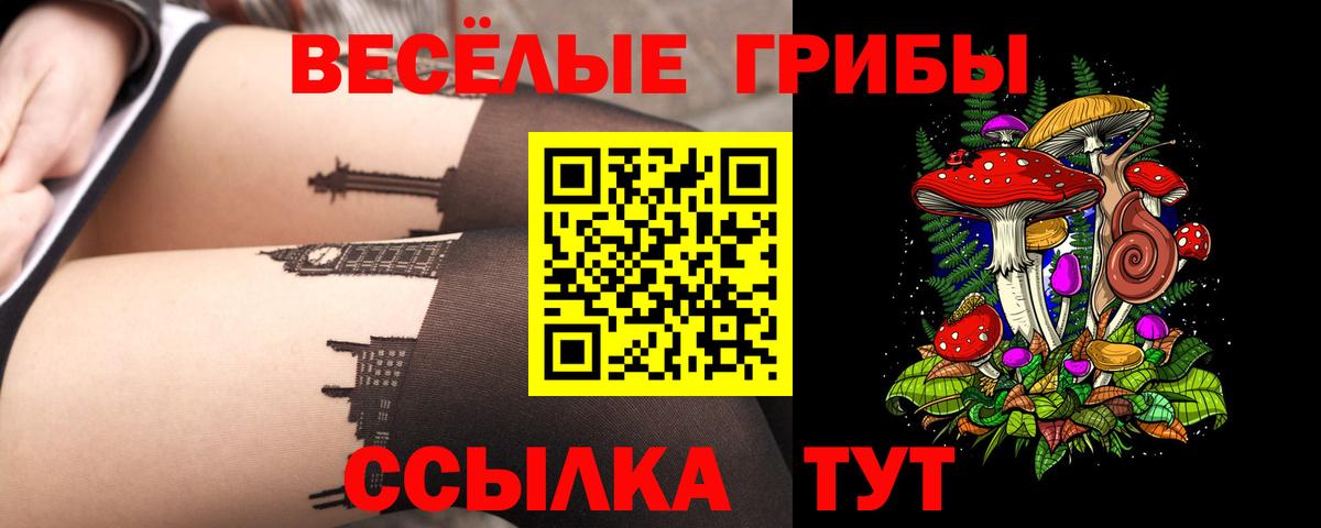Псилоцибиновые грибы Cubensis  Галлюциногенные грибы Cubensis  Сосновоборск  дарнет шоп  Вход с VPN 